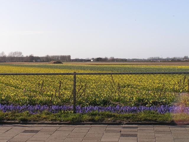 P1010408.JPG
