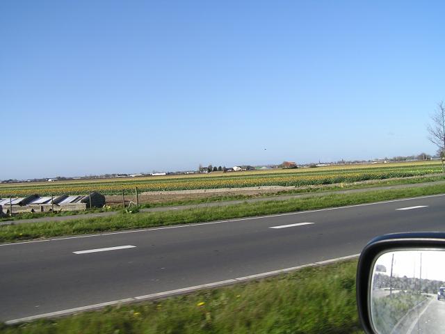 P1010405.JPG