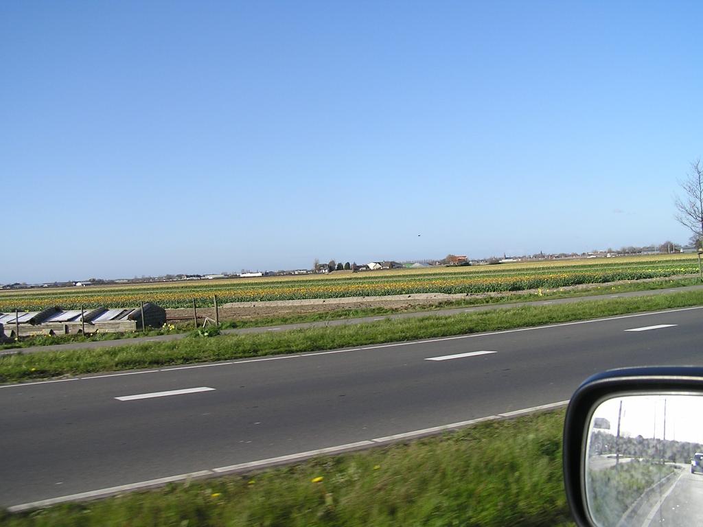 P1010405.JPG