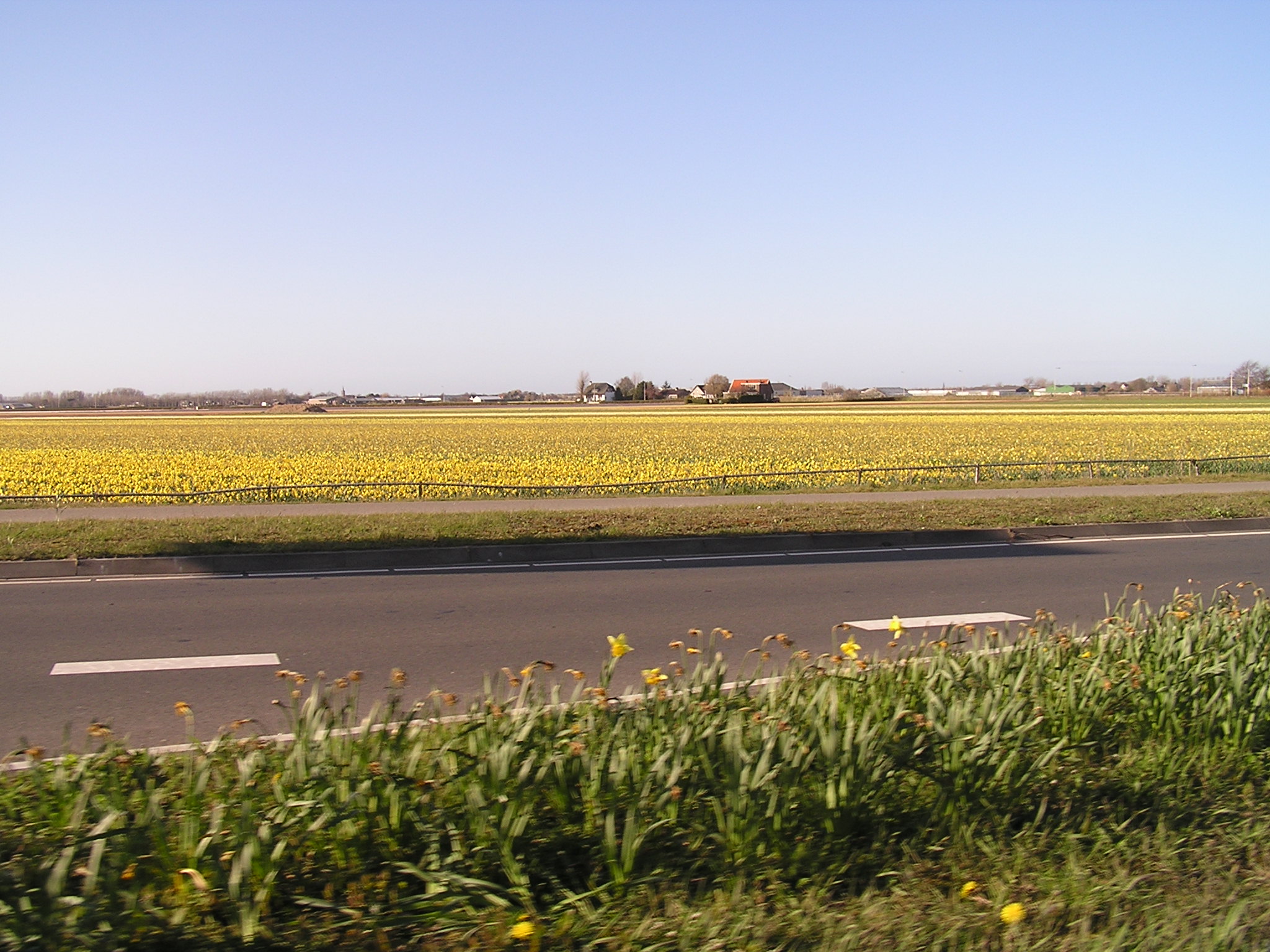 P1010406.JPG