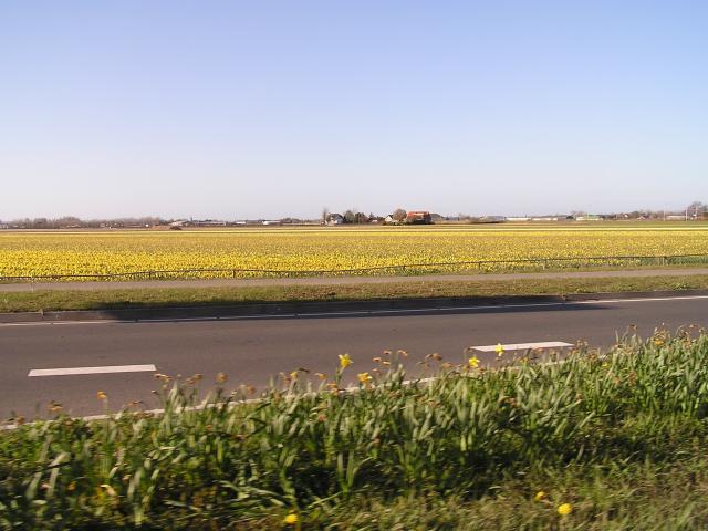 P1010406.JPG