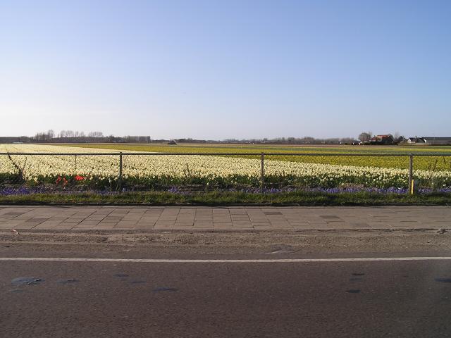 P1010407.JPG