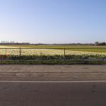 P1010407.JPG
