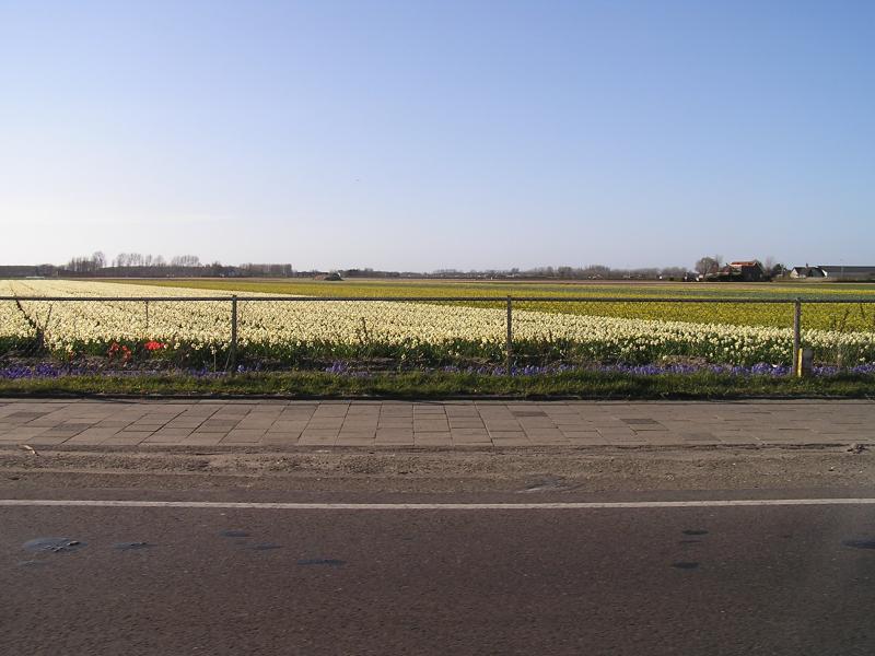 P1010407.JPG