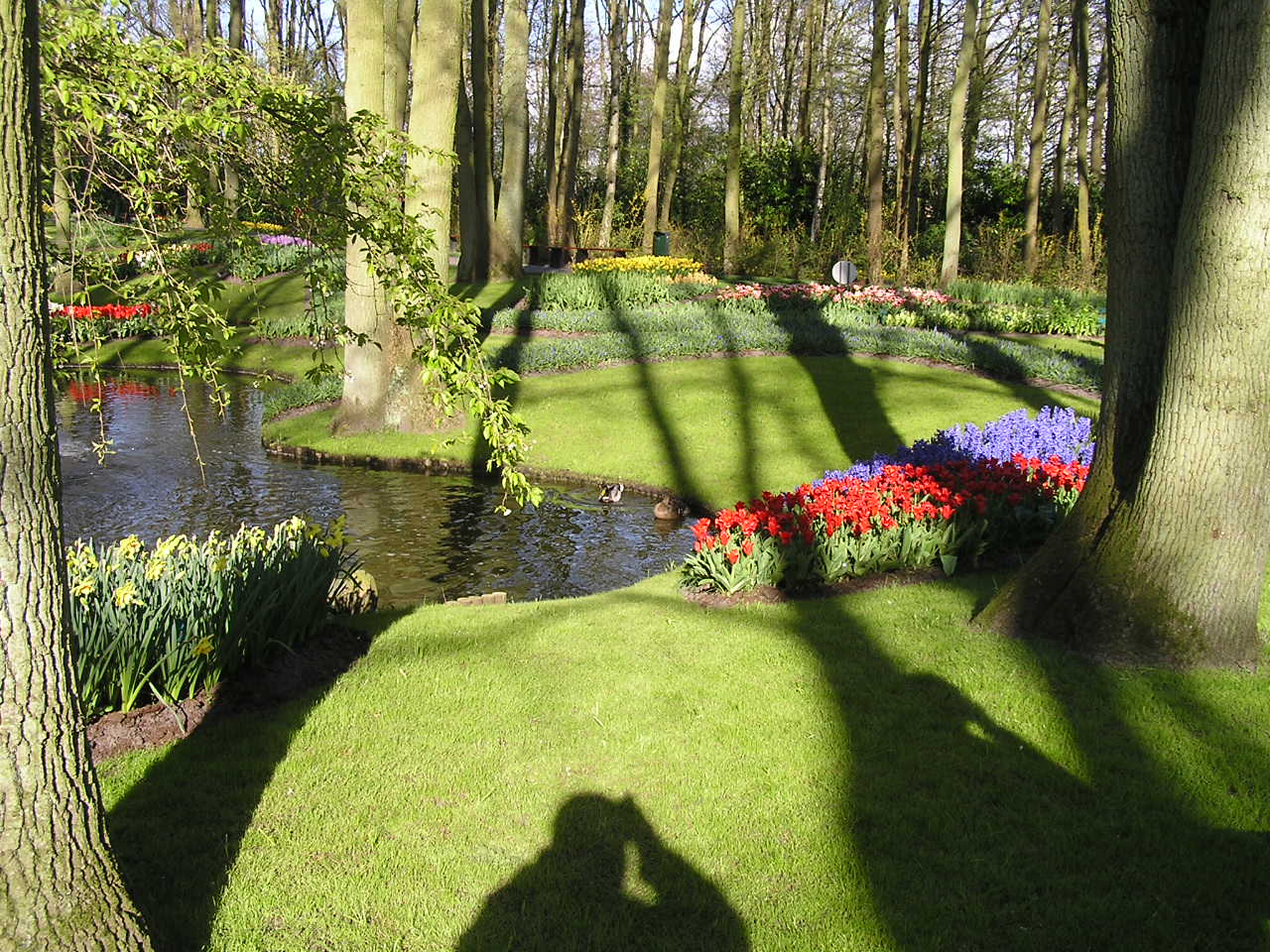 P1010387.JPG