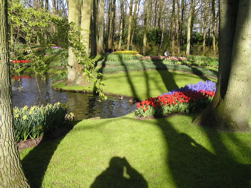 P1010387.JPG