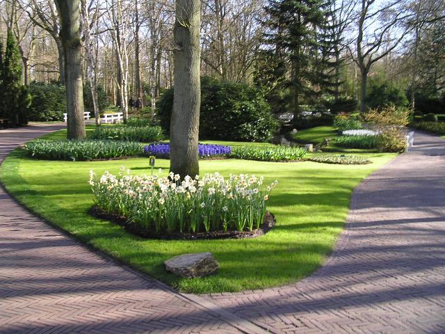 P1010382.JPG