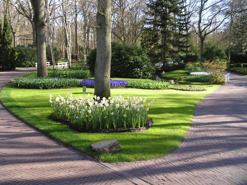 P1010382.JPG