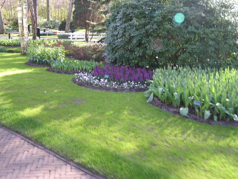 P1010383.JPG