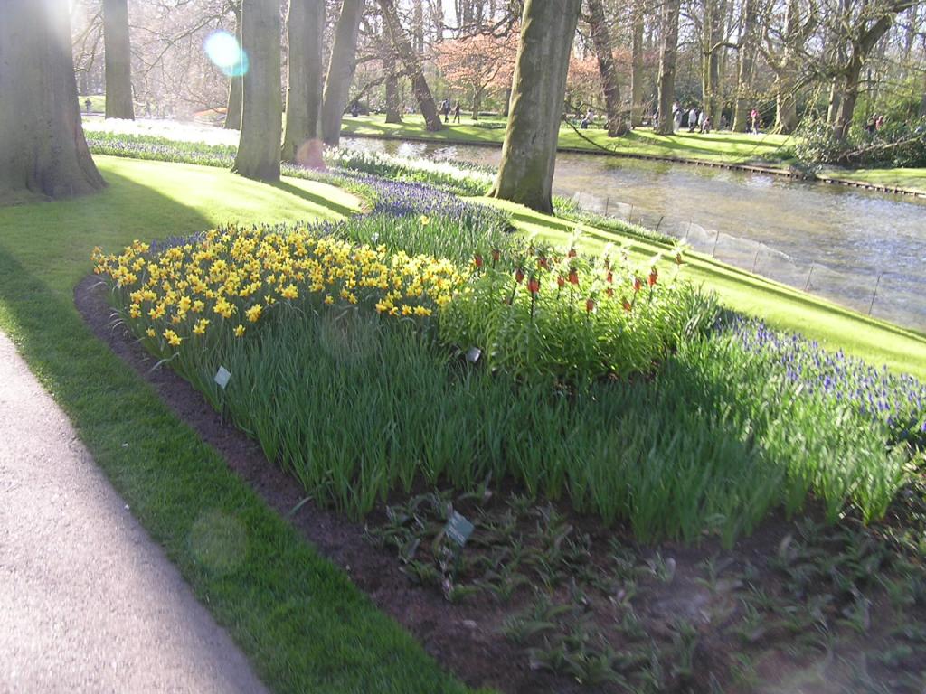 P1010351.JPG