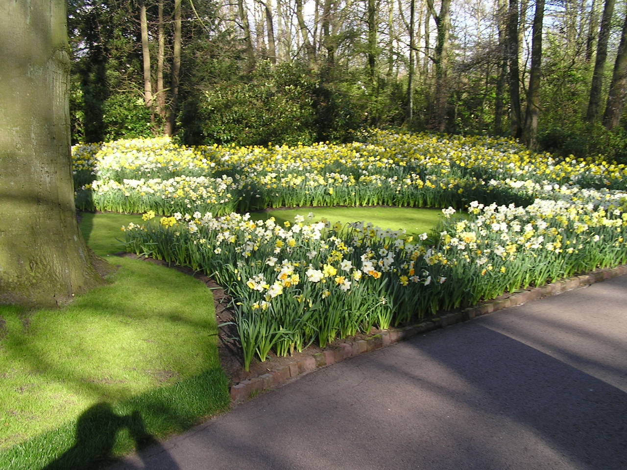 P1010356.JPG