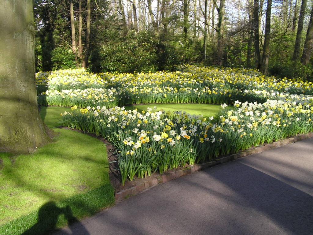 P1010356.JPG