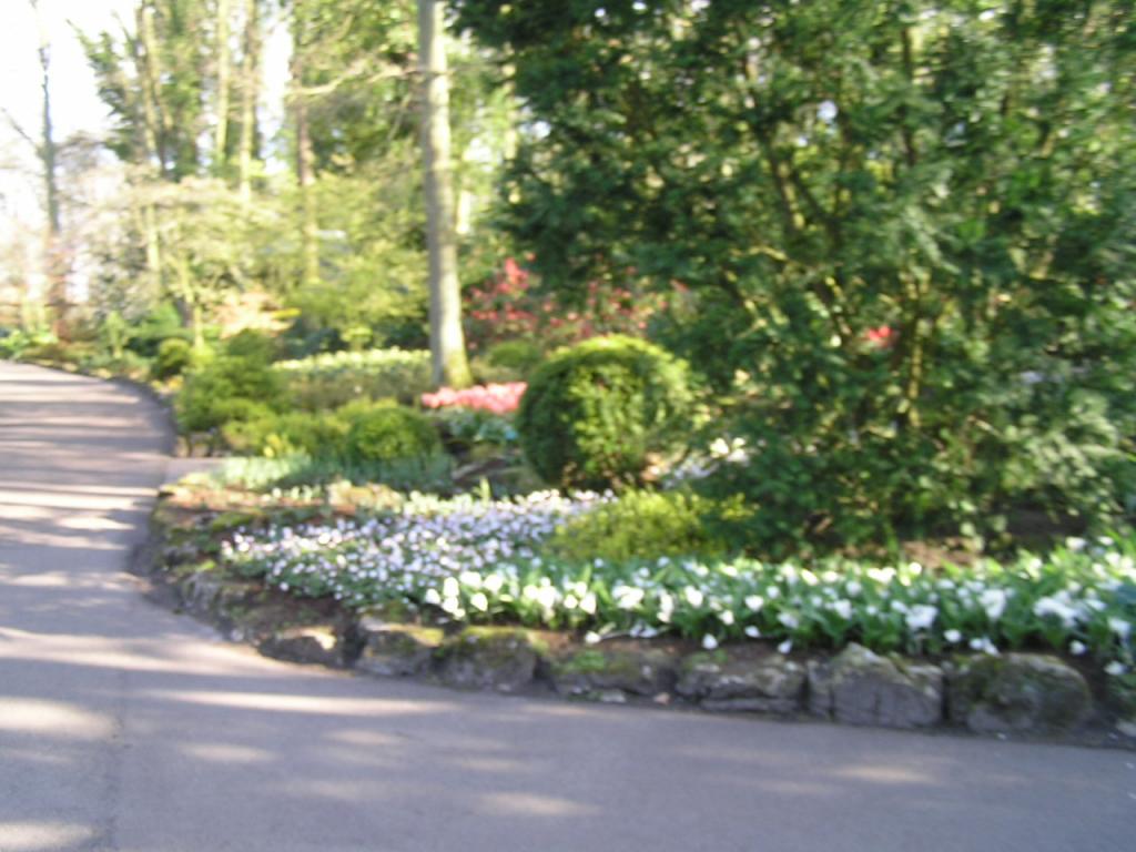 P1010370.JPG
