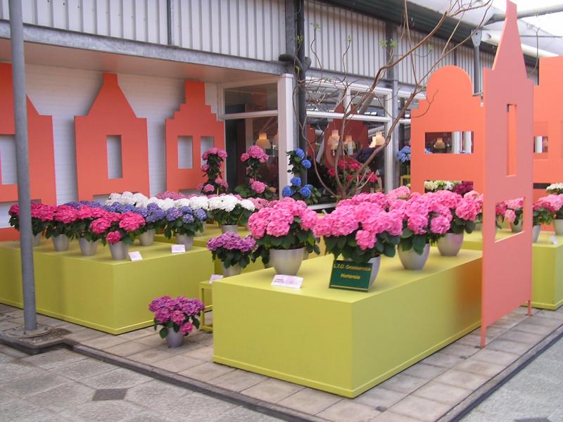 P1010333.JPG