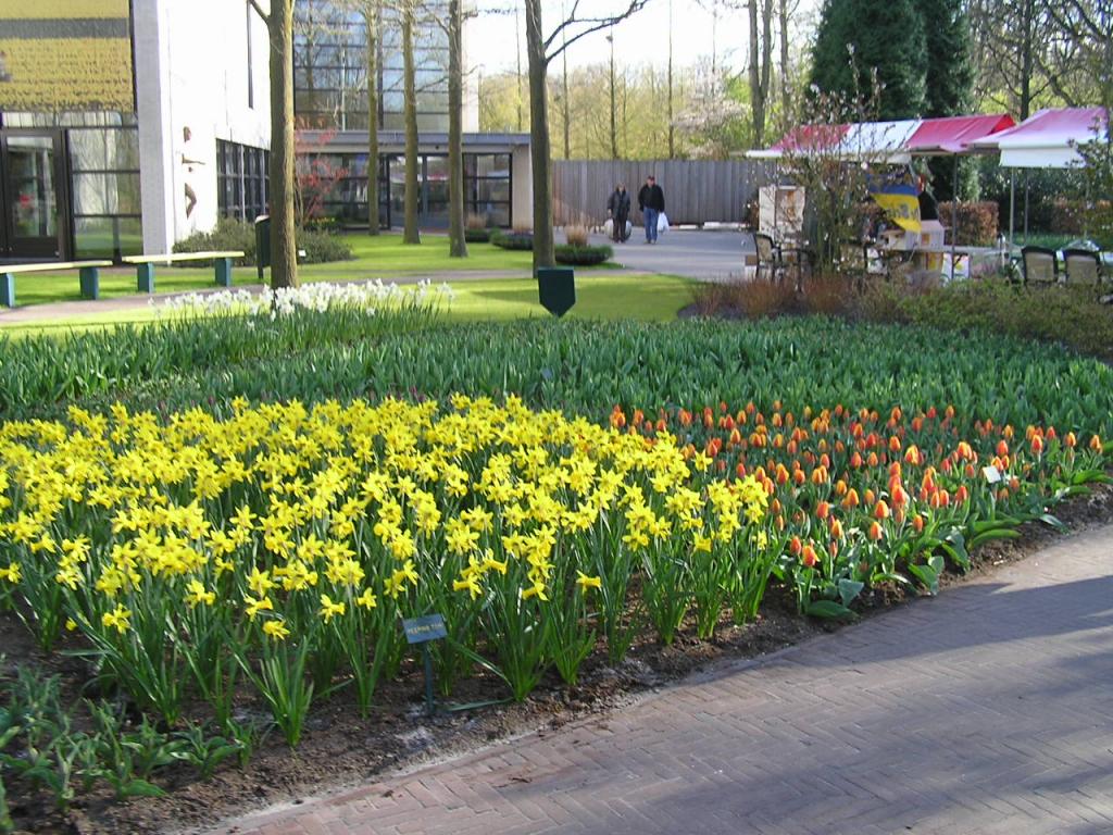 P1010338.JPG