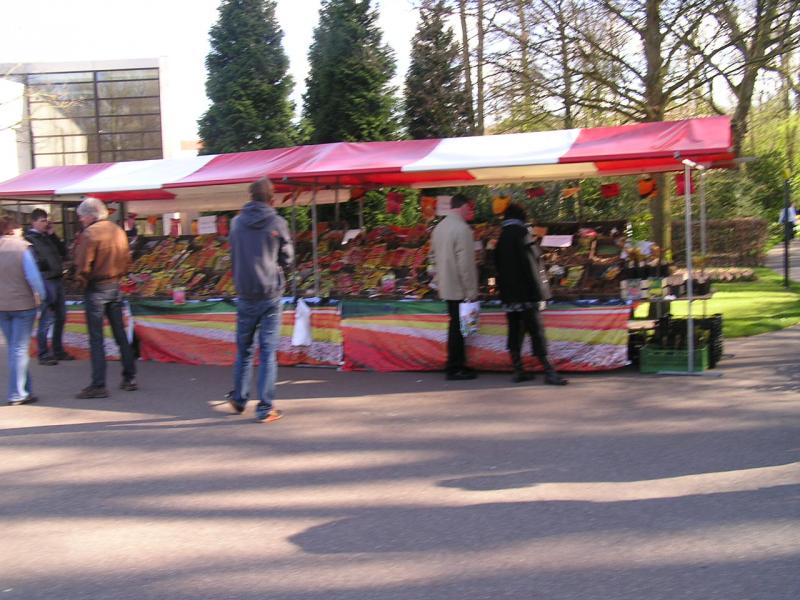 P1010339.JPG