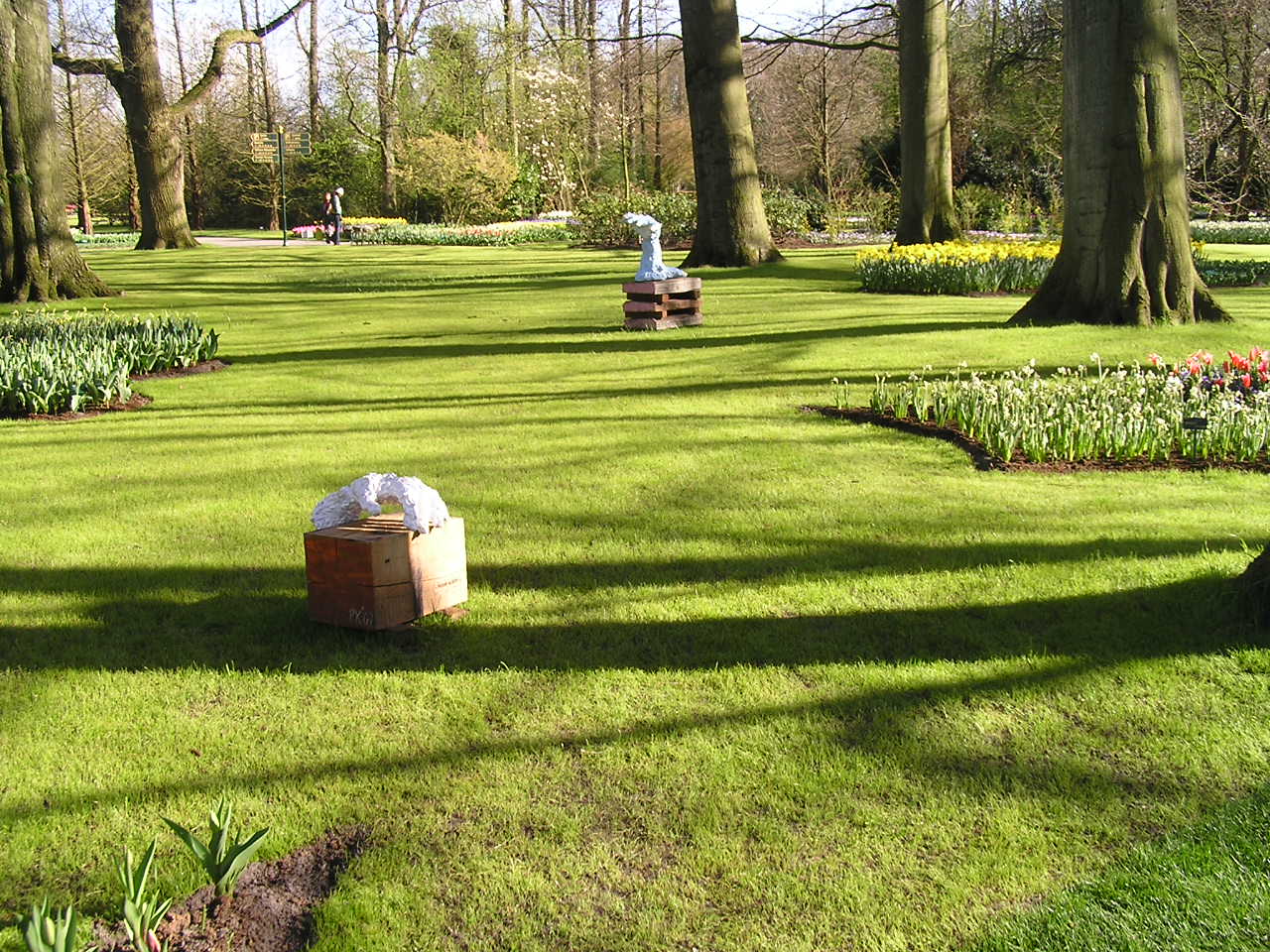 P1010343.JPG
