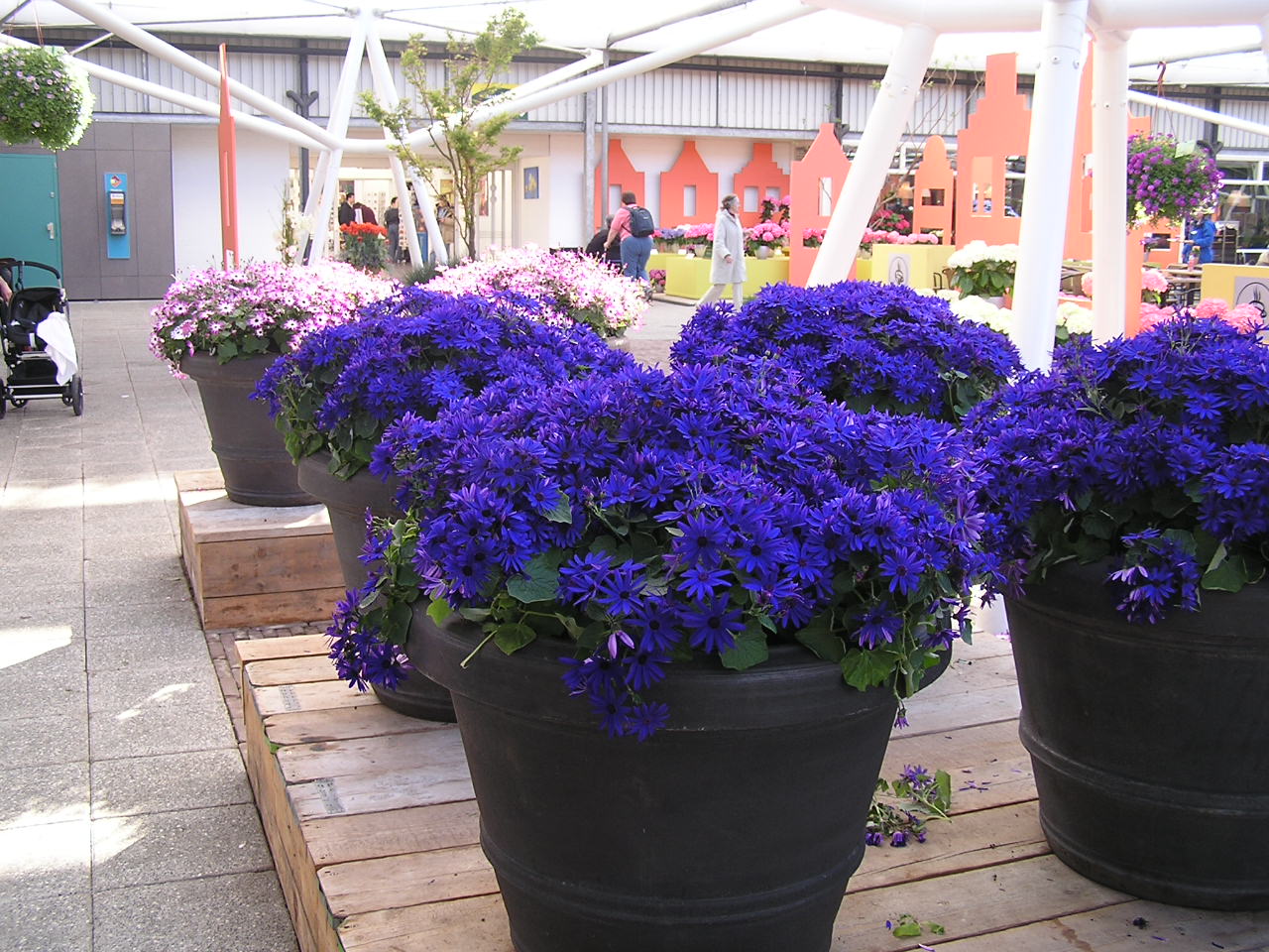 P1010327.JPG