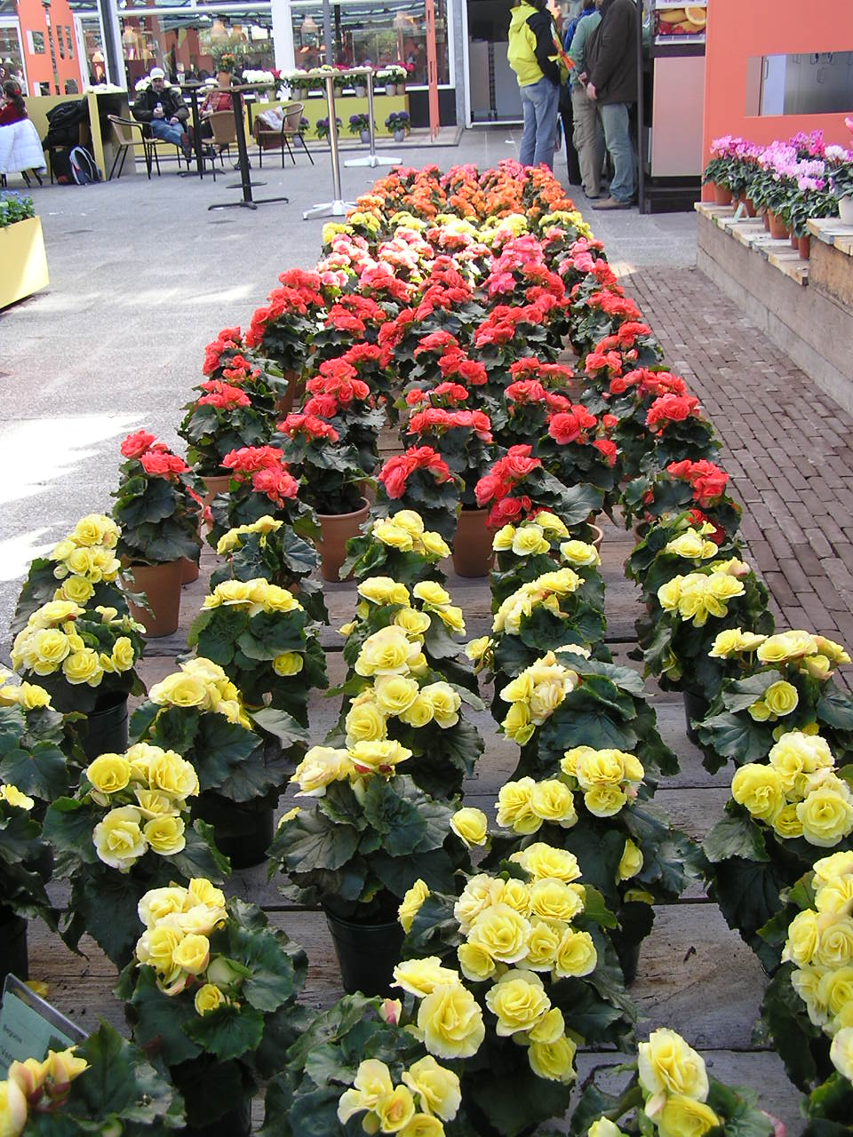 P1010316.JPG