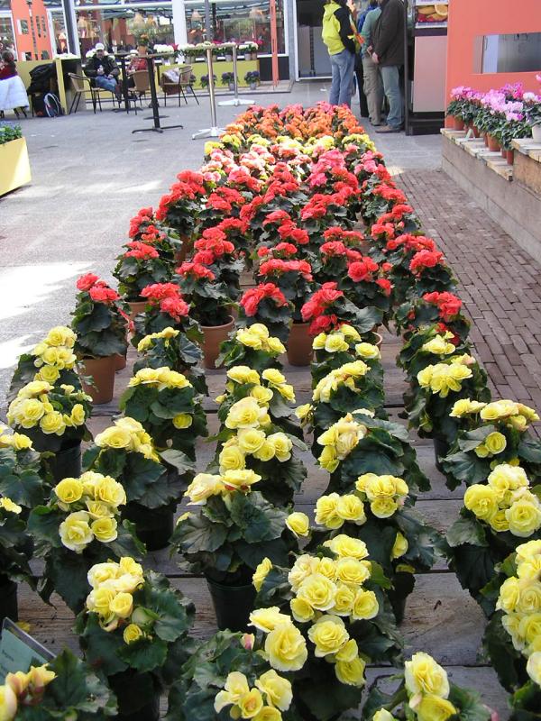 P1010316.JPG