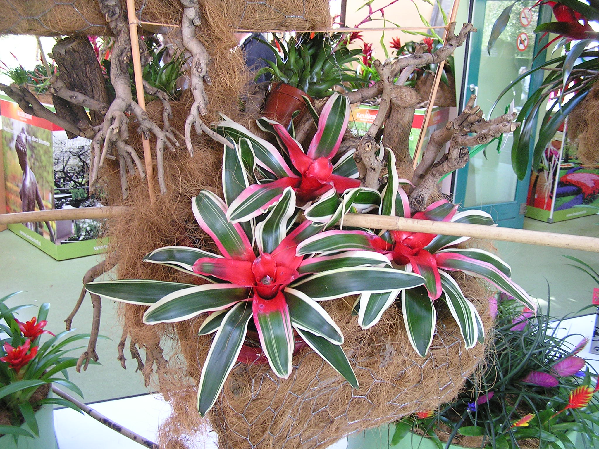 P1010237.JPG