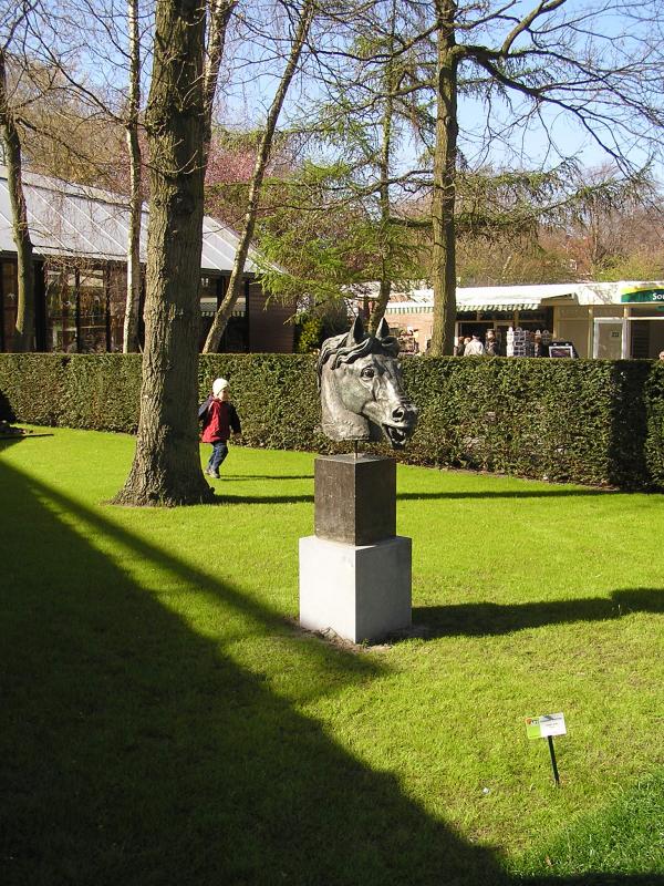 P1010238.JPG