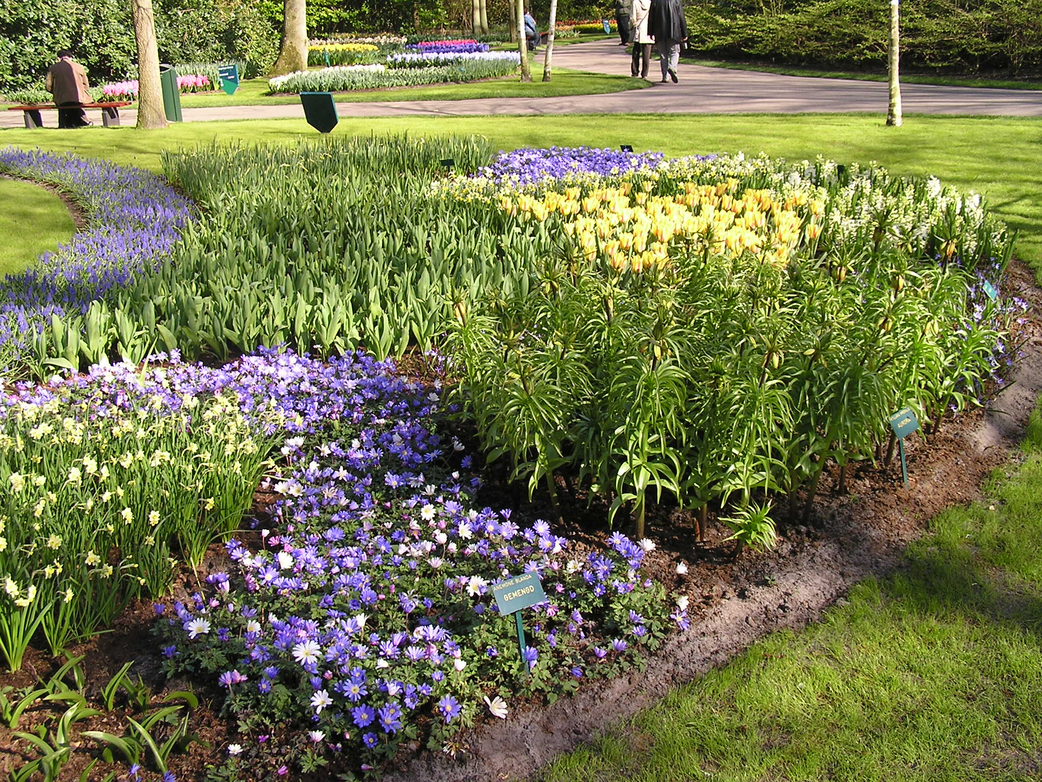 P1010187.JPG