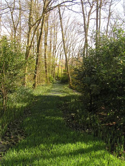 P1010191.JPG