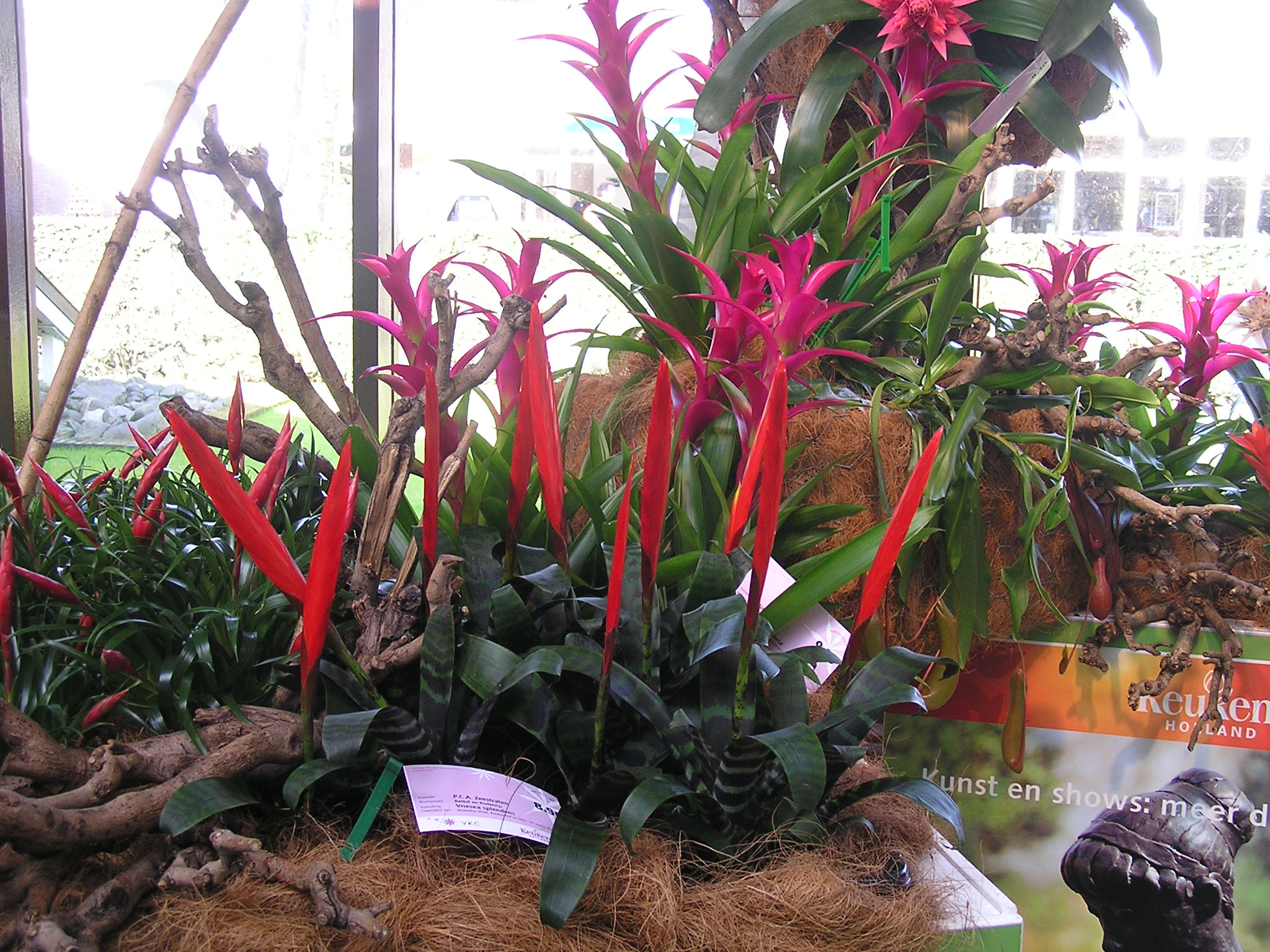 P1010209.JPG