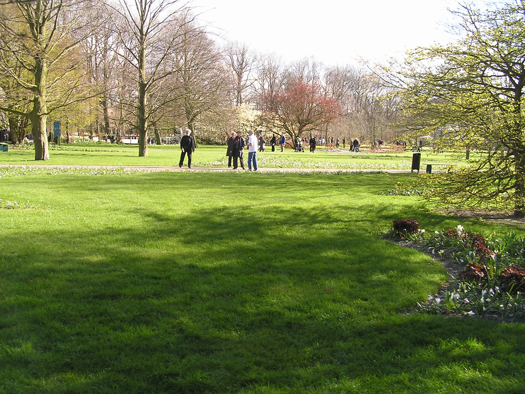 P1010247.JPG