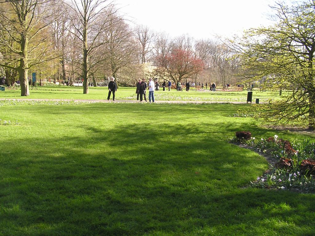 P1010247.JPG