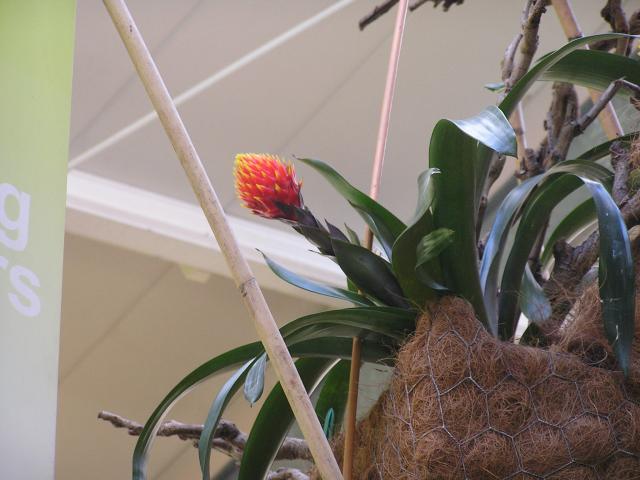 P1010210.JPG