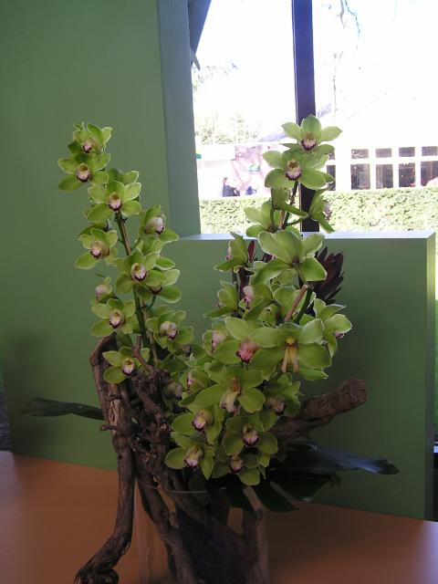 P1010213.JPG