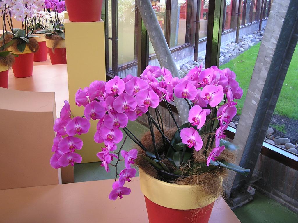 P1010214.JPG