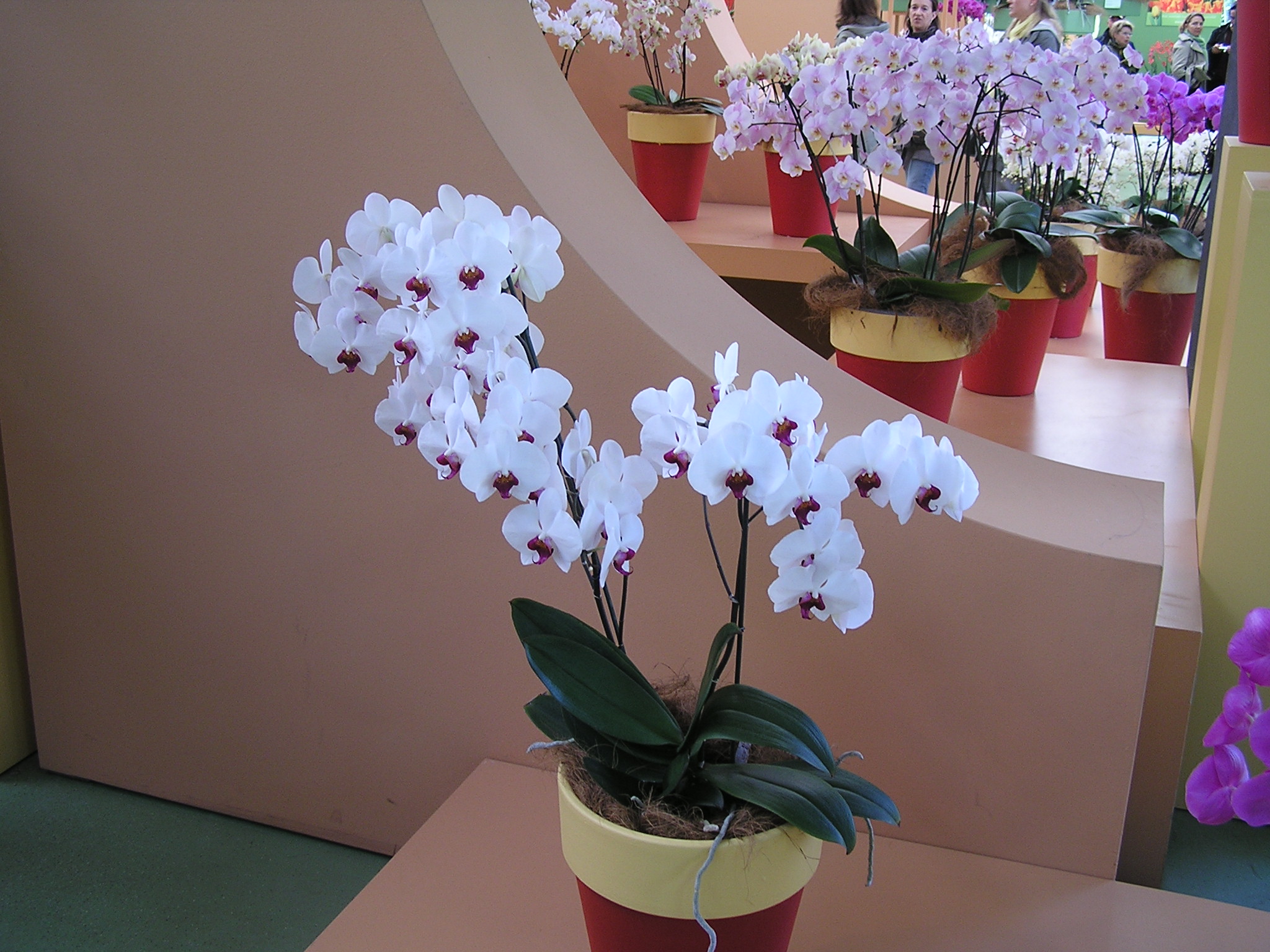 P1010215.JPG