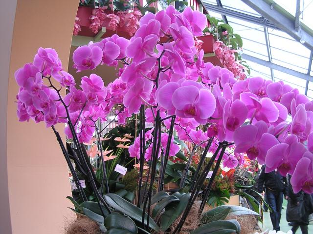 P1010217.JPG