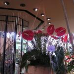 P1010220.JPG