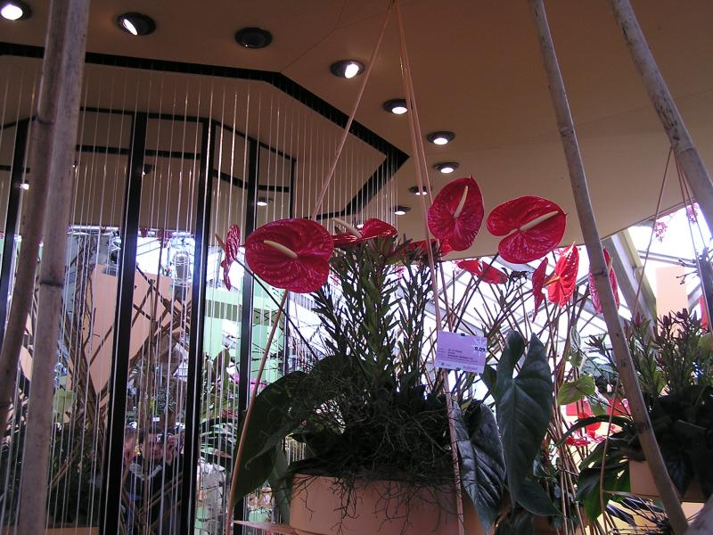 P1010220.JPG