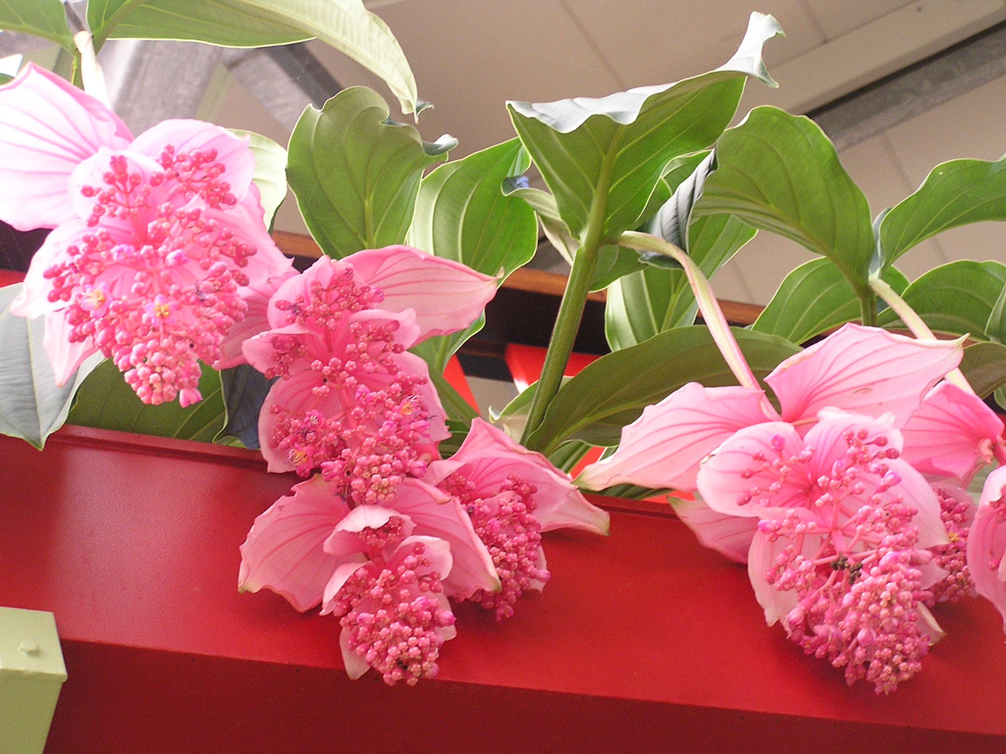 P1010221.JPG