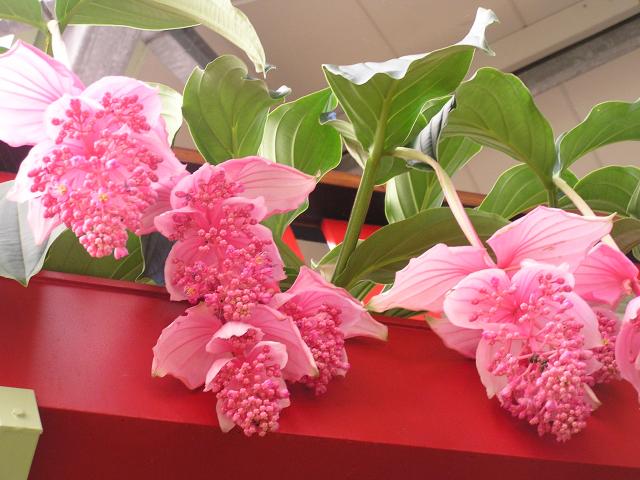 P1010221.JPG