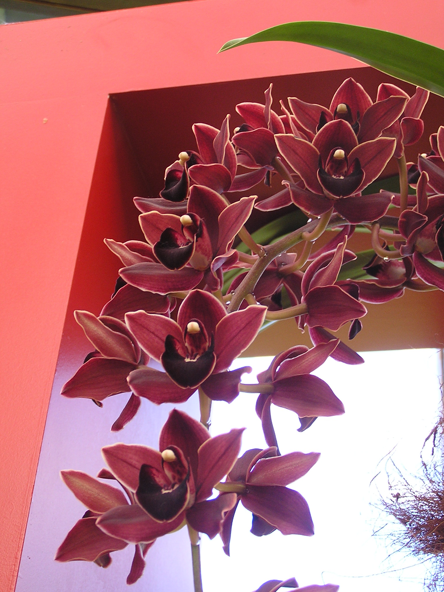 P1010233.JPG