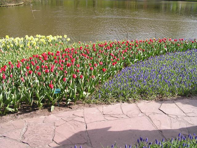 P1010118.JPG