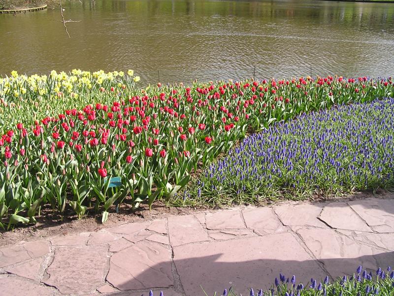P1010118.JPG