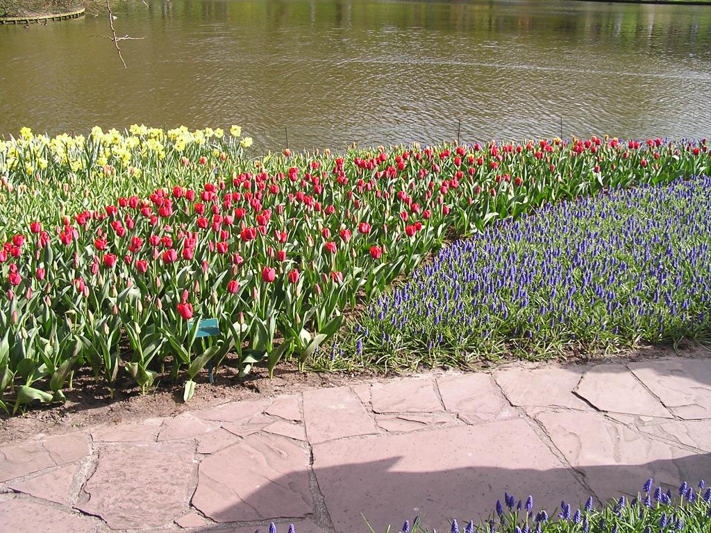 P1010118.JPG