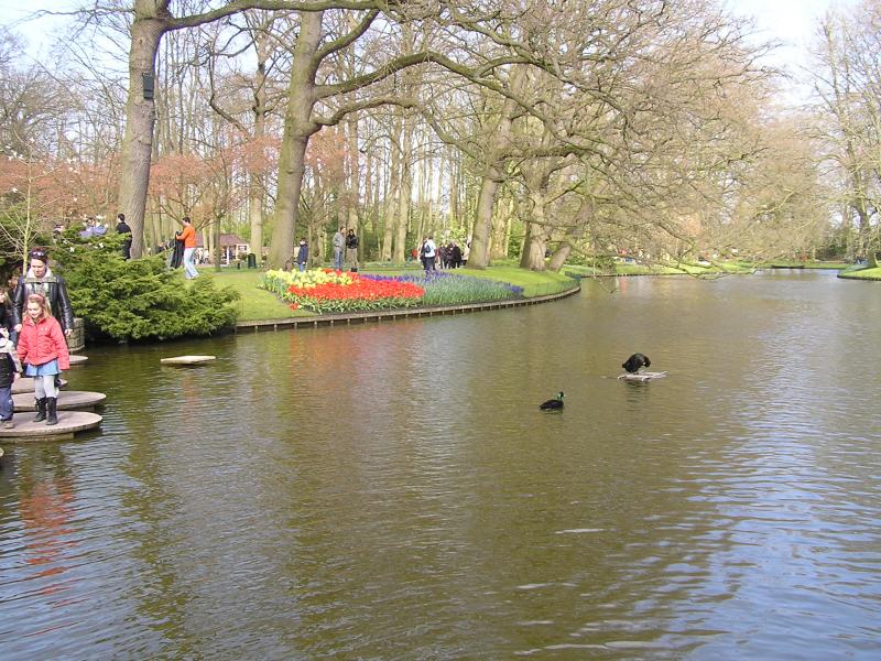 P1010126.JPG