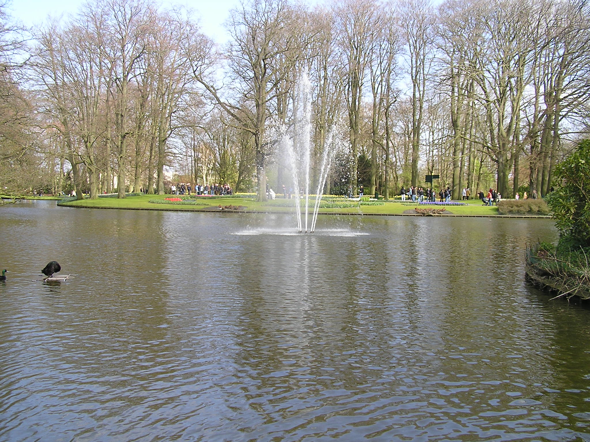 P1010127.JPG