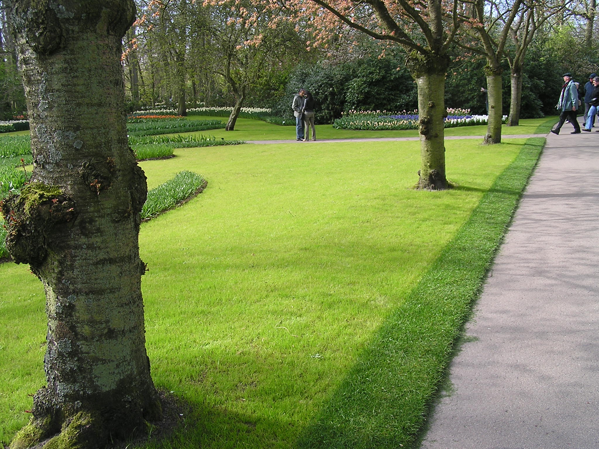 P1010135.JPG