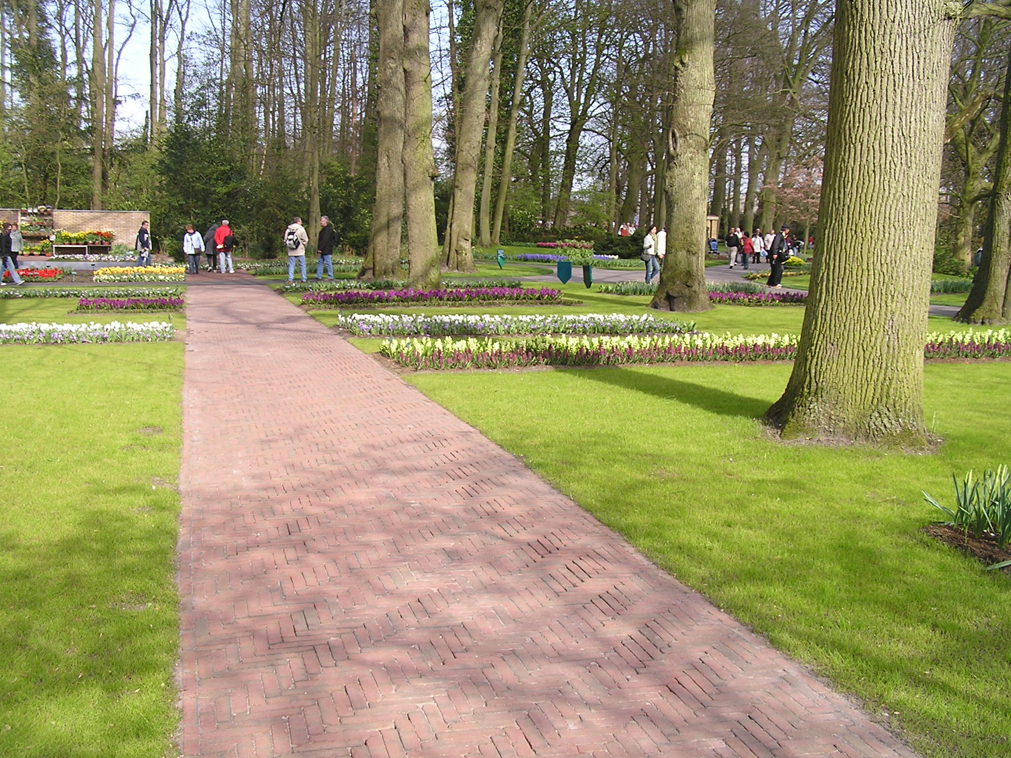 P1010137.JPG