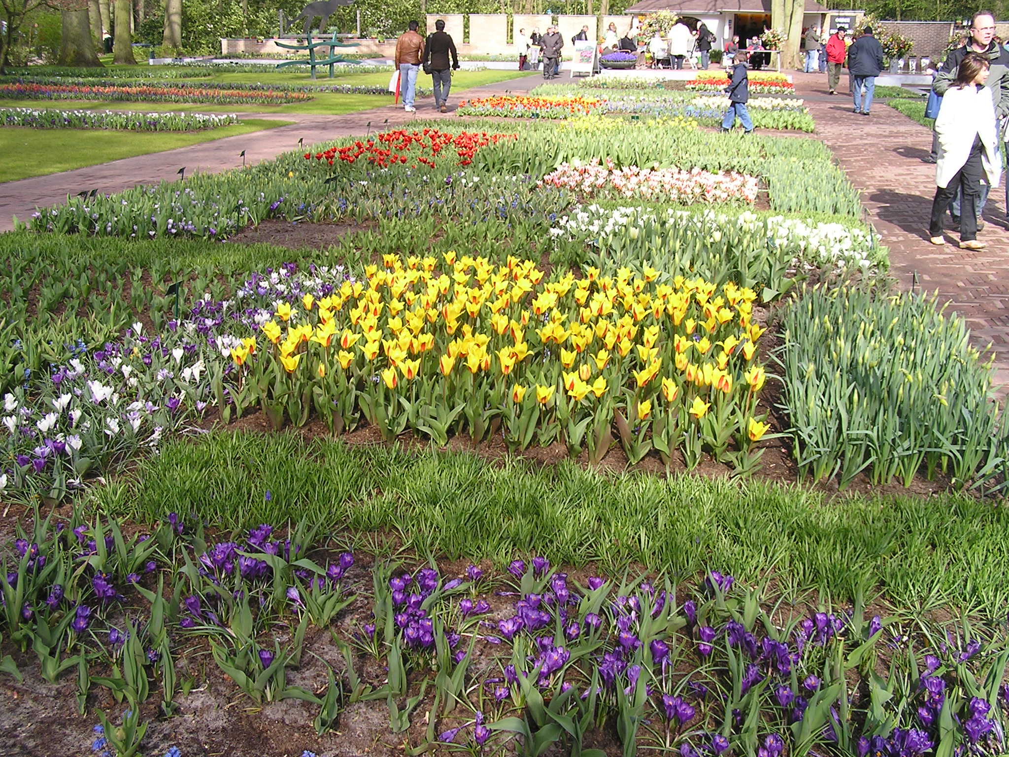 P1010140.JPG