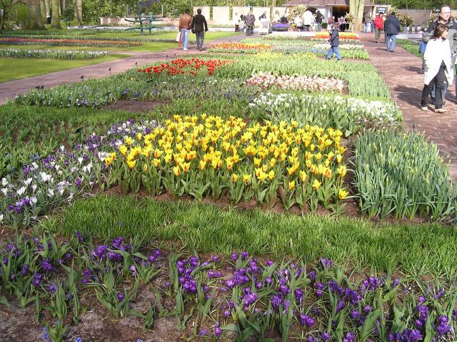 P1010140.JPG